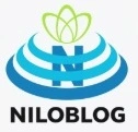 فناوری اطلاعات استوار